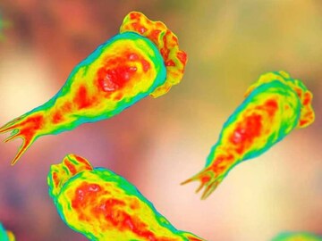 പ്രതീകാത്മക ചിത്രം