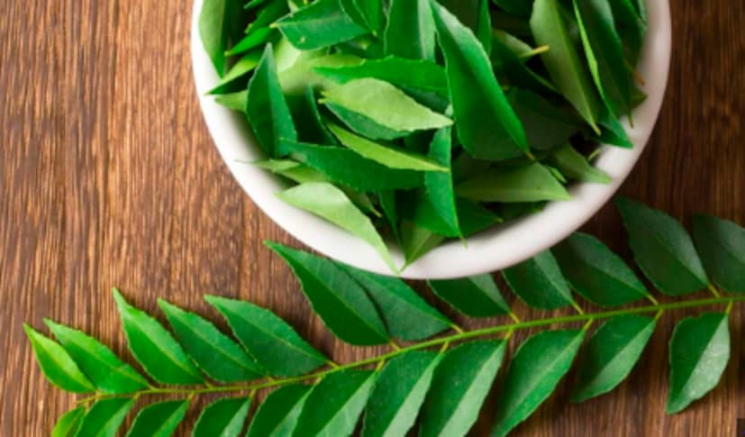  കറിവേപ്പില ശക്തമായ ആന്റിഓക്‌സിഡന്റുകൾ, സസ്യ സംയുക്തങ്ങൾ എന്നിവയാലും സമ്പുഷ്ടമാണ്. ഇത് നമ്മെ ആരോഗ്യമുള്ളതാക്കുകയും നാഡീവ്യൂഹം, ഹൃദയാരോഗ്യം, വൃക്കകൾ മുതലായവയെ ബാധിച്ചേക്കാവുന്ന നിരവധി രോഗങ്ങളിൽ നിന്ന് നമ്മെ സംരക്ഷിക്കുകയും ചെയ്യുന്നു. കൂടാതെ, ഓക്‌സിഡേറ്റീവ് സമ്മർദത്തിൽ നിന്നും നമ്മെ സംരക്ഷിക്കാനും സഹായിക്കുന്നു.