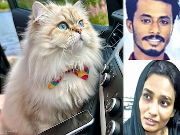 കൊല്ലപ്പെട്ട ആഷിഖ്,  പ്രതി ഷഹാന