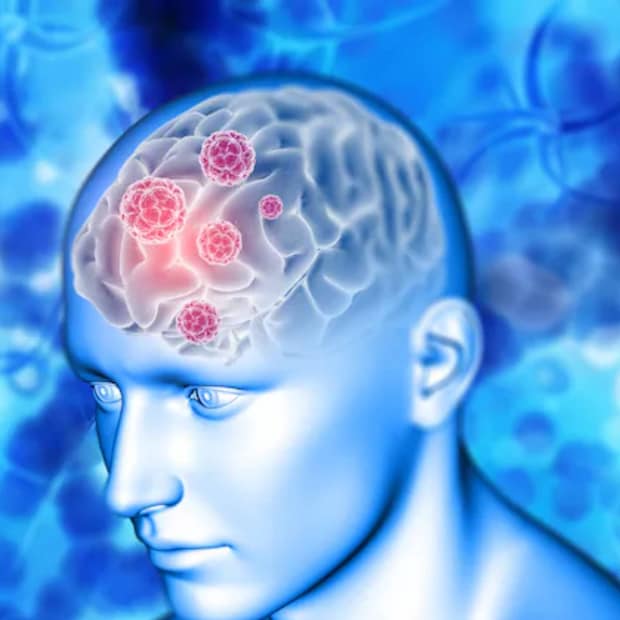  ഈ വര്‍ഷത്തെ പ്രമേയം : മസ്തിഷകത്തിന്റെ ആരോഗ്യവും പ്രതിരോധവും എന്നതാണ് ഈവര്‍ഷത്തെ മസ്തിഷ്‌ക ദിനത്തിന്റെ പ്രമേയം. ''തലച്ചോറിന്റെ ആരോഗ്യമെന്നത് തുടര്‍വിഷയമാണ്. ലോകാരോഗ്യ സംഘടനയുടെ നേതൃത്വത്തില്‍ മറ്റ് വിഭാഗങ്ങളും ഈ വിഷയം ലോകമെമ്പാടും ഏറ്റെടുക്കുന്നുണ്ട്. പിന്തുണ നല്‍കല്‍, ചികിത്സ, പ്രതിരോധം, ഇന്നൊവേഷന്‍ അല്ലെങ്കില്‍ ഗവേഷണം, പൊതുജനാരോഗ്യം എന്നിവയാണ് ആഗോള കര്‍മ പദ്ധതിയുടെ അഞ്ച് നെടുംതൂണുകള്‍. മസ്തിഷ്‌ക ആരോഗ്യം സംരക്ഷിക്കുന്നതിനും നാഡീരോഗങ്ങള്‍ ബാധിക്കാത്ത ആളുകളുടെ എണ്ണം വര്‍ധിപ്പിക്കുന്നതിനുമാണ് മുന്‍തൂക്കം നല്‍കുന്നത്.