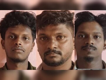 പത്തനംതിട്ടയിലെ സീതത്തോടാണ് സംഭവം