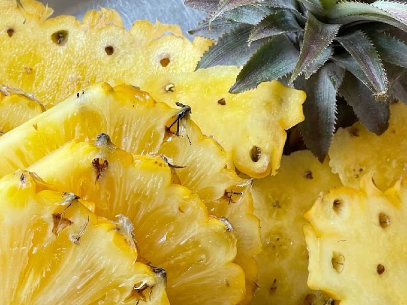 ദഹനപ്രക്രിയ ത്വരിതപ്പെടുത്തുന്നതിലുപരി, ശരീരഭാരം കുറയ്ക്കാനും രോഗപ്രതിരോധശക്തി മെച്ചപ്പെടുത്താനും പൈനാപ്പിൾ കഴിക്കുന്നത് കൊണ്ട് പ്രയോജനമുണ്ട്. വൈറ്റമിനുകളായ എ, കെ, മിനറലുകളായ ഫോസ്ഫറസ്, കാൽസ്യം, സിങ്ക് എന്നിവ രോഗപ്രതിരോധം തീർക്കാൻ സഹായകമാണ്. സ്ഥിരമായി പൈനാപ്പിൾ കഴിക്കുന്നത് പലവിധമായ ആരോഗ്യ പ്രശ്നങ്ങൾക്കുള്ള പ്രതിവിധി കൂടിയാണ്