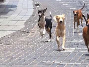 പ്രതീകാത്മക ചിത്രം പ്രതീകാത്മക ചിത്രം