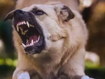 (പ്രതീകാത്മക ചിത്രം)