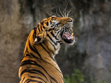 പ്രതീകാത്മക ചിത്രം പ്രതീകാത്മക ചിത്രം