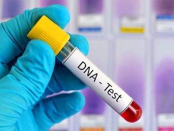 (പ്രതീകാത്മക ചിത്രം)