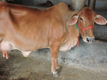 (പ്രതീകാത്മക ചിത്രം)