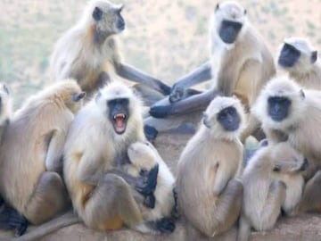 പ്രതീകാത്മക ചിത്രം