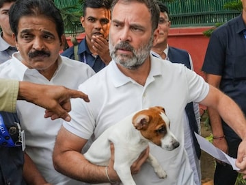 രാഹുൽ‌ ഗാന്ധി (PTI file Image)