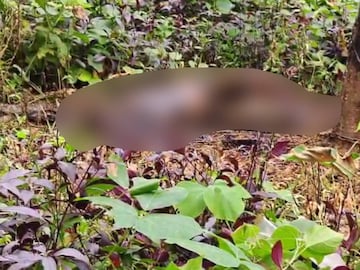 കഴുത്ത് വരെയുള്ള ഭാഗം കത്തിക്കരിഞ്ഞ നിലയിലാണ്