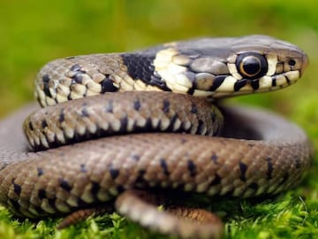 പ്രതീകാത്മക ചിത്രം