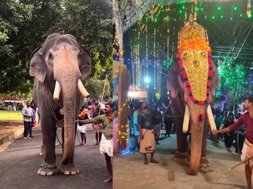 ഗുരുവായൂർ ഗോകുൽ (Image: Facebook)