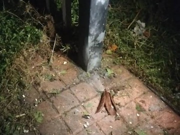 ശ്യാമളയുടെ വീടിന് മുന്നിലാണ് സ്ഫോടനം ഉണ്ടായത് ശ്യാമളയുടെ വീടിന് മുന്നിലാണ് സ്ഫോടനം ഉണ്ടായത്