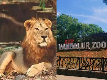 വണ്ടല്ലൂർ മൃഗശാല