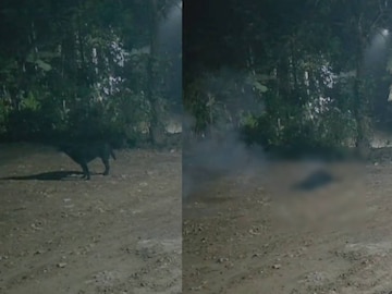 സിസിടിവി ദൃശ്യങ്ങളിൽ നിന്ന് 