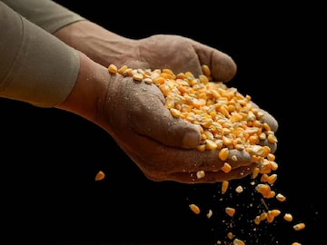 പ്രതീകാത്മക ചിത്രം പ്രതീകാത്മക ചിത്രം