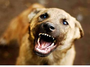 പ്രതീകാത്മക ചിത്രം