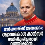 ലിയോ മാർപാപ്പയ്ക്ക് ശ്വാസകോശ കാൻസർ; അറിയിപ്പുമായി വത്തിക്കാൻ
